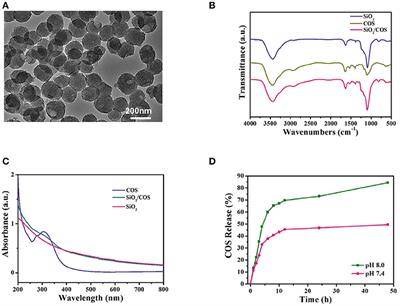 Porous COS@SiO2 Nanocomposites Ameliorate Severe Acute Pancreatitis and Associated Lung Injury by Regulating the Nrf2 Signaling Pathway in Mice